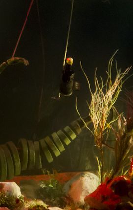 Marina, a sereiazinha