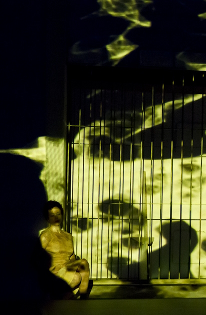 Dos meus olhos saem rosas