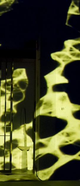 Dos meus olhos saem rosas