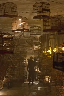 ZUCCO? documenta: rastros do sujeito em condi&ccedil;&otilde;es de objeto