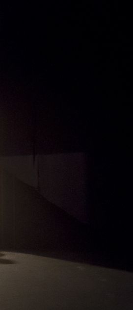 ZUCCO? documenta: rastros do sujeito em condições de objeto