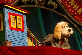 Hist&oacute;rias da Carrocinha