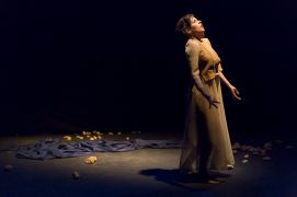 Di&aacute;rio do &uacute;ltimo ano