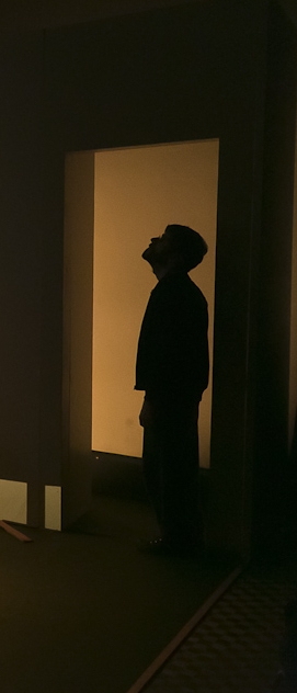 O L&iacute;quido T&aacute;til