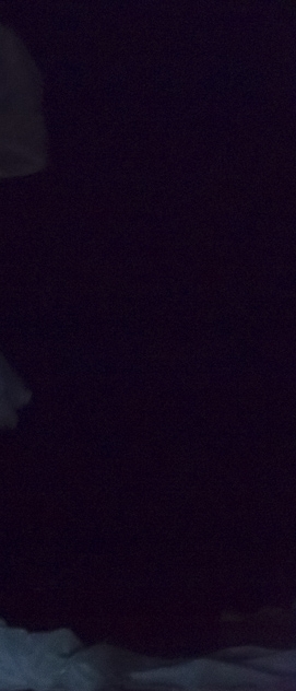 ... E pe&ccedil;a que nos perdoe