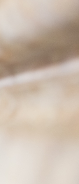 Correntes e Naufr&aacute;gios