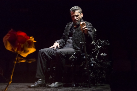 Entre Nebulosas e Girassóis