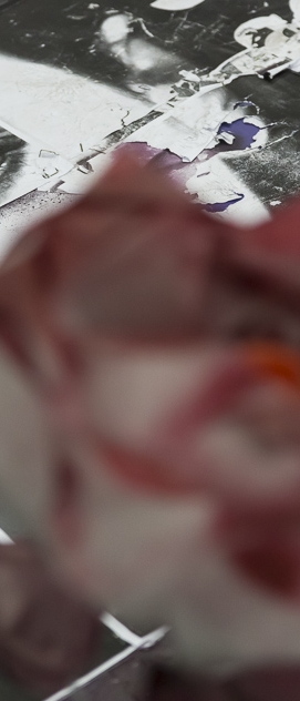 Entre Nebulosas e Girass&oacute;is