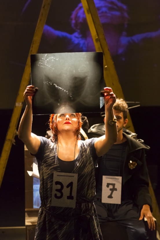 ENSAIO DE MENTIRA ou o último ensaio para dizer a verdade