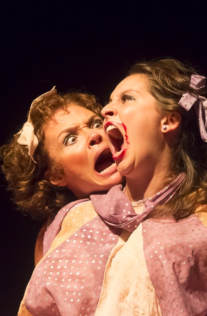 ENSAIO DE MENTIRA ou o &uacute;ltimo ensaio para dizer a verdade