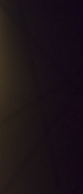 Em Louvor &agrave; Vergonha