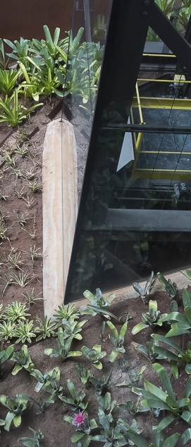 Mulher com Mulher vira Jacar&eacute;