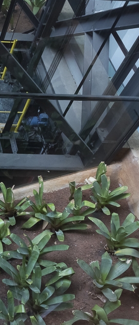 Mulher com Mulher vira Jacar&eacute;