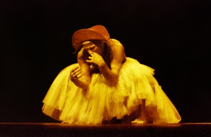 O olho do tamandu&aacute;