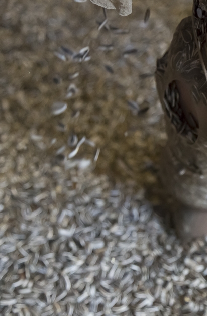 Como nasce um estado