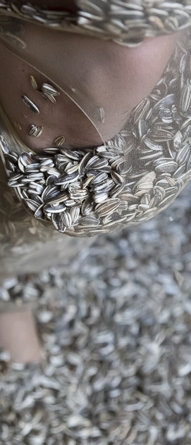 Como nasce um estado