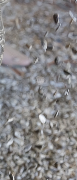 Como nasce um estado