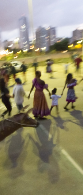 As Ra&iacute;zes do Mineiro Pau e do Boi Pintadinho