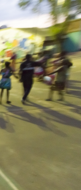 As Ra&iacute;zes do Mineiro Pau e do Boi Pintadinho