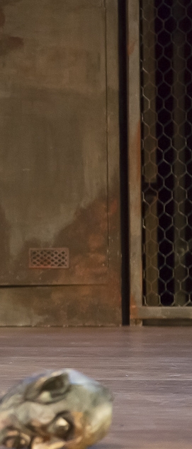 L'Ecole Des Ventriloques