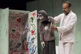 Diagn&oacute;stico Hamlet