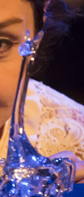 Migra&ccedil;&otilde;es de Tennessee