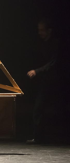 Macquin&aacute;ria 21