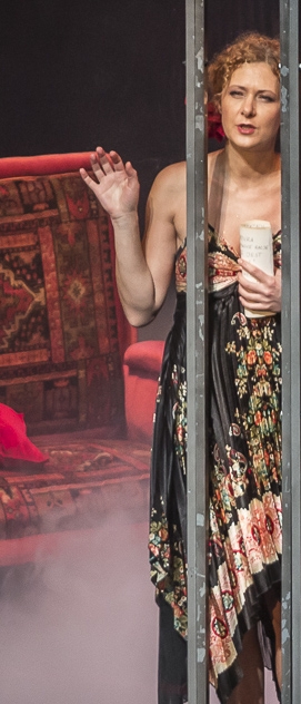 &Aacute;rvores Abatidas