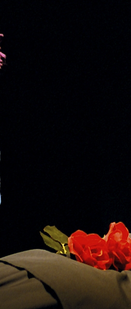 Quien mat&oacute; al titiriteiro