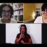 Palestra-performance, Crtica de Artista