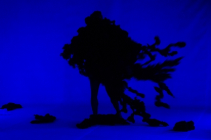 Eles fazem dan&ccedil;a contempor&acirc;nea