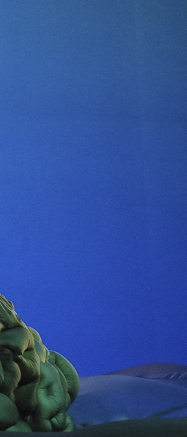 Passageiros Clandestinos