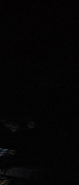 Amor e restos humanos