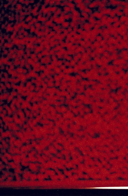 Sert&atilde;o, sert&otilde;es