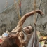 Coreografia de cordel