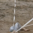 Coreografia de cordel