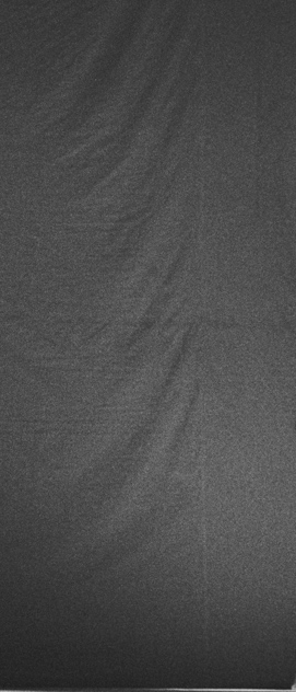 Festival de Arte Negra de Belo Horizonte