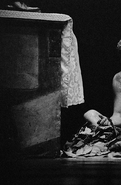 &Aacute;lbum de fam&iacute;lia