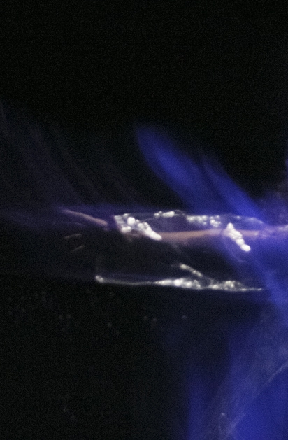 Maria de Lourdes em Tr&iacute;ade