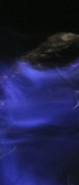 Maria de Lourdes em Tr&iacute;ade