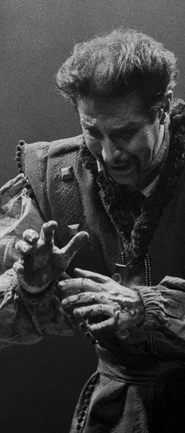 A Paix&atilde;o Segundo Shakespeare