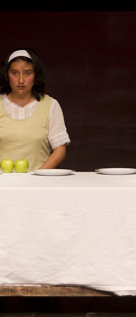 A mo&ccedil;a dos livros usados