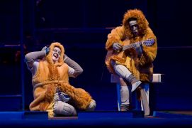 Arca de Vin&iacute;cius