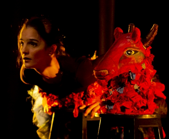 De Peixes e Pássaros