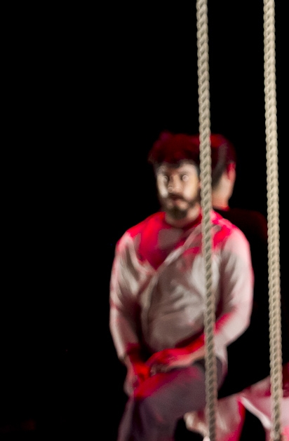 De Peixes e P&aacute;ssaros