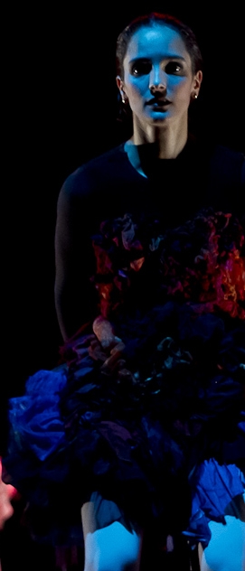 De Peixes e P&aacute;ssaros