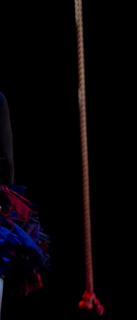 De Peixes e P&aacute;ssaros