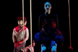 De Peixes e P&aacute;ssaros