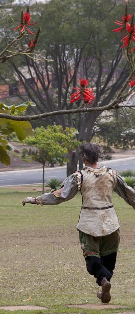 Dan&ccedil;a para &aacute;rvore