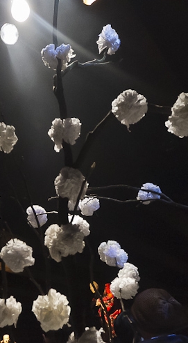 As &uacute;ltimas flores do jardim das cerejeiras